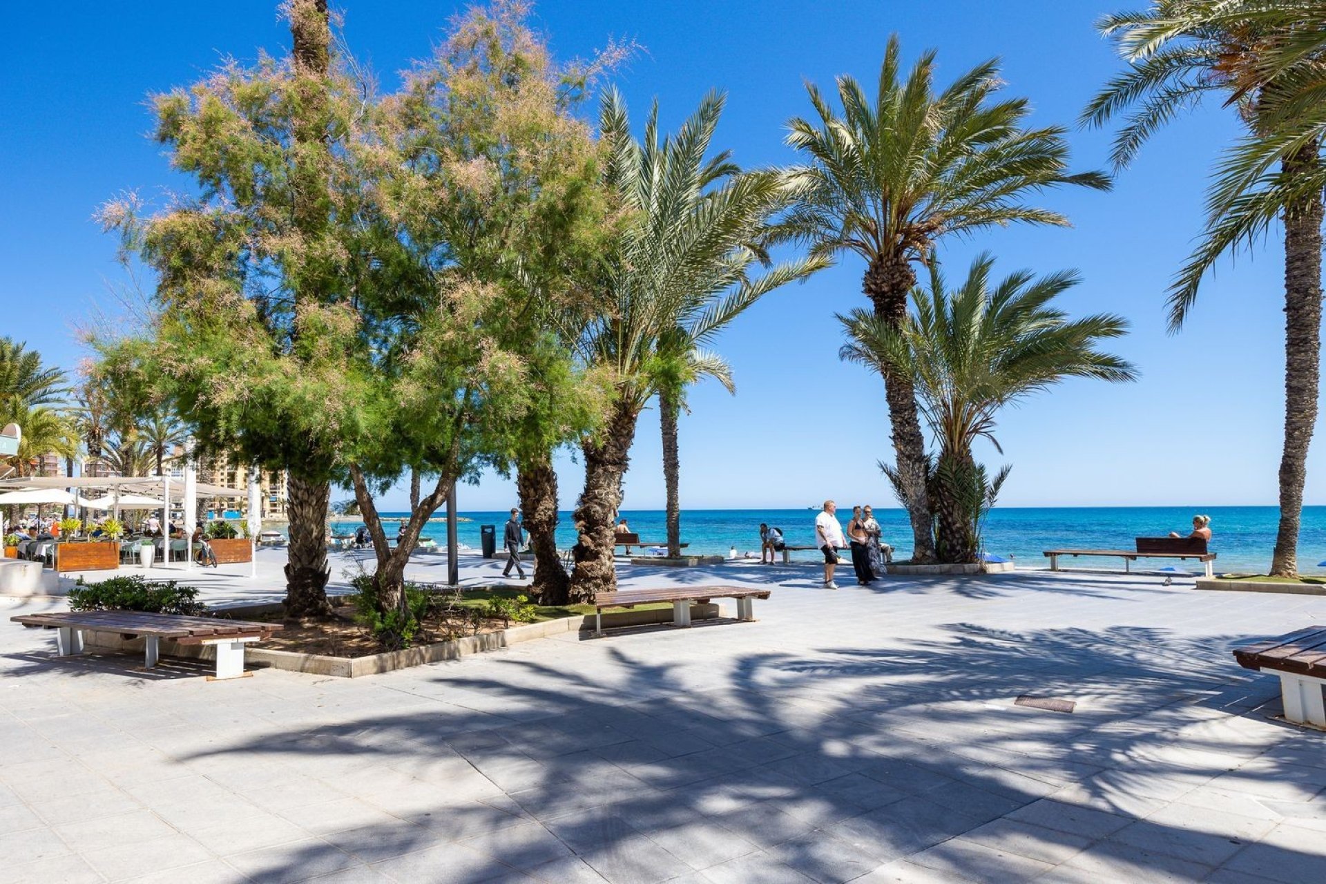 Reventa - Apartamento - Torrevieja - Las Piscinas Naturales