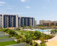 Reventa - Apartamento - Torrevieja - Punta Prima