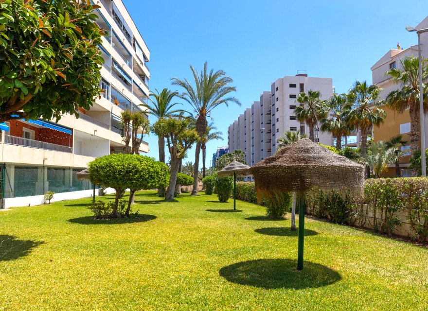 Reventa - Apartamento - Torrevieja - Rocio del Mar