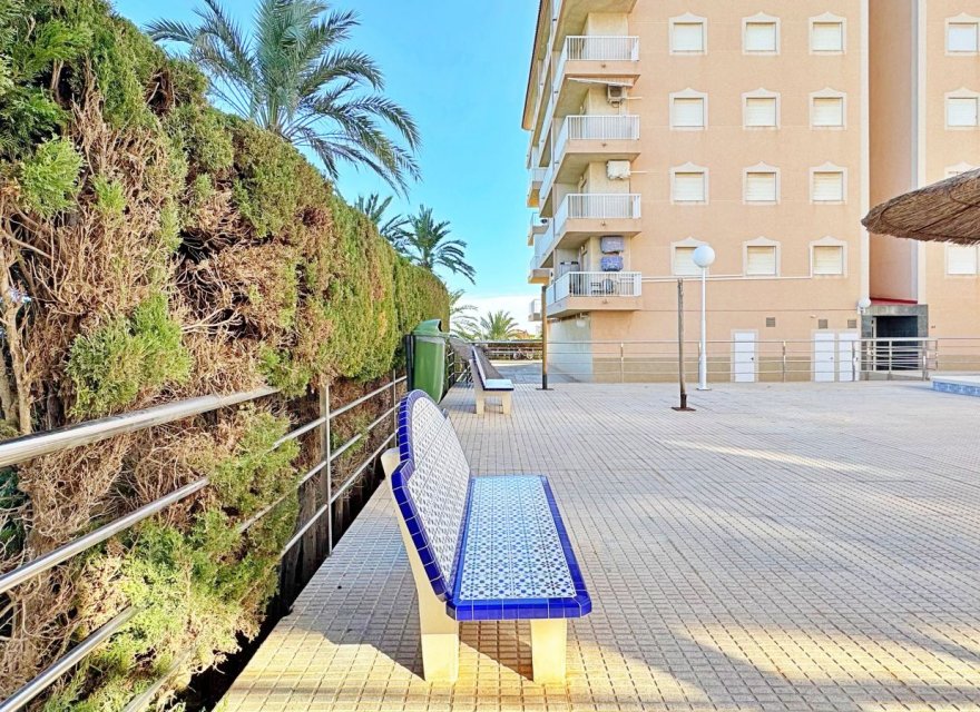 Reventa - Apartamento - Torrevieja - Rocio del Mar