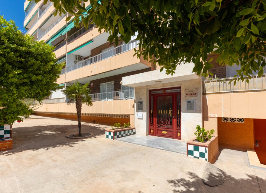 Reventa - Apartamento - Torrevieja - Rocio del Mar