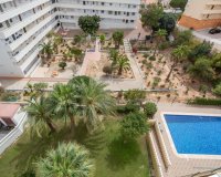 Reventa - Apartamento - Torrevieja - Torreblanca