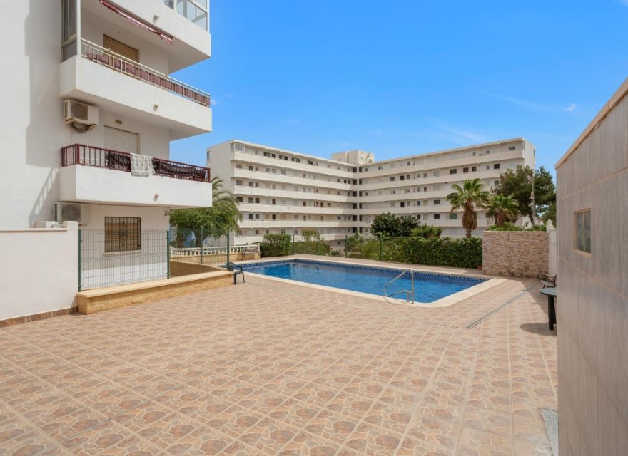 Reventa - Apartamento - Torrevieja - Torreblanca