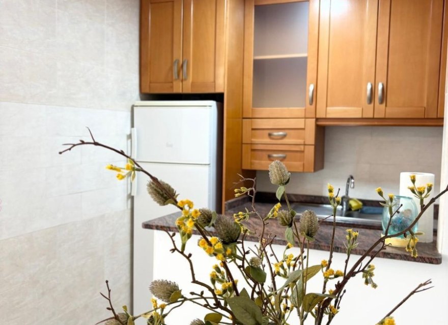 Reventa - Apartamento - Torrevieja