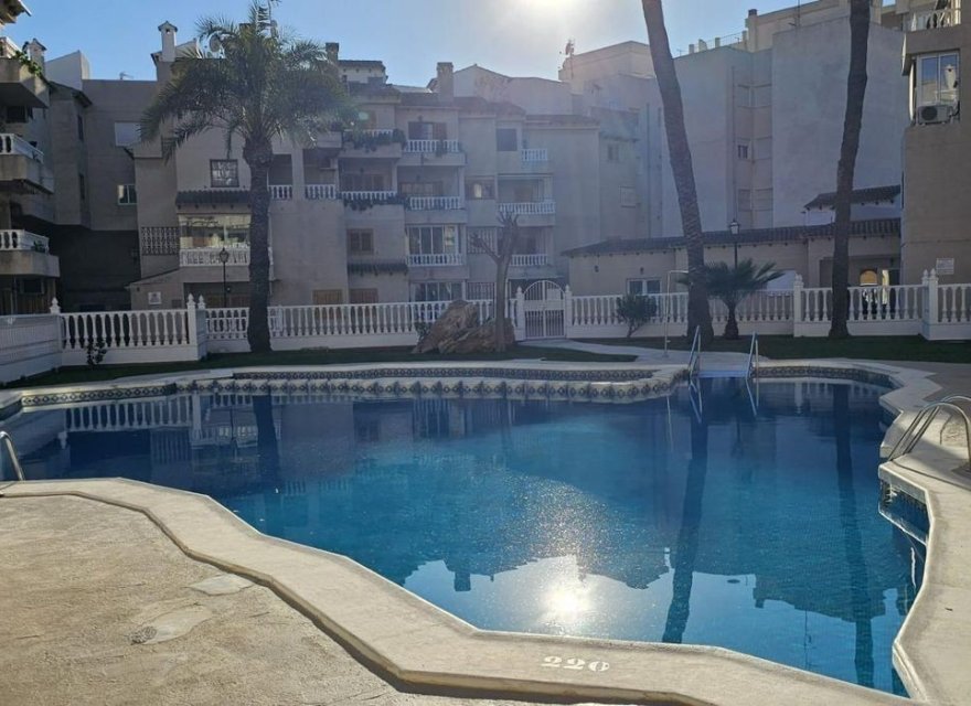 Reventa - Apartamento - Torrevieja
