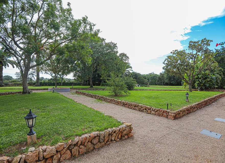 Reventa - Comercial - Llucmajor