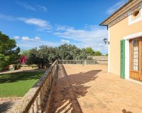 Reventa - Comercial - Llucmajor