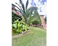 Reventa - Duplex - Alicante (San Juan) - Cabo de las Huertas