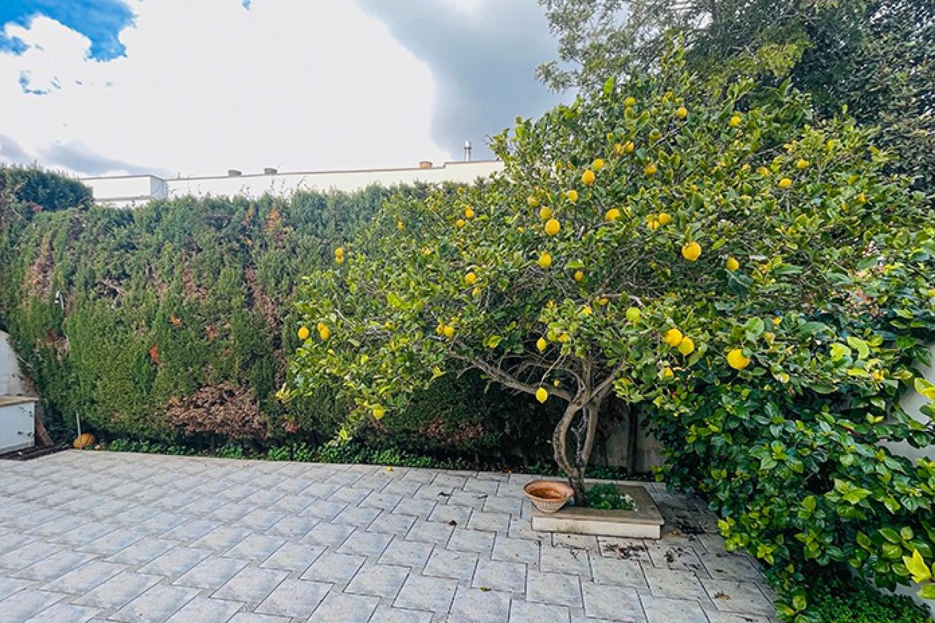 Reventa - Duplex - Son Veri Nou