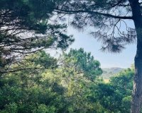 Reventa - Parcela - Benahavís - Costa del Sol