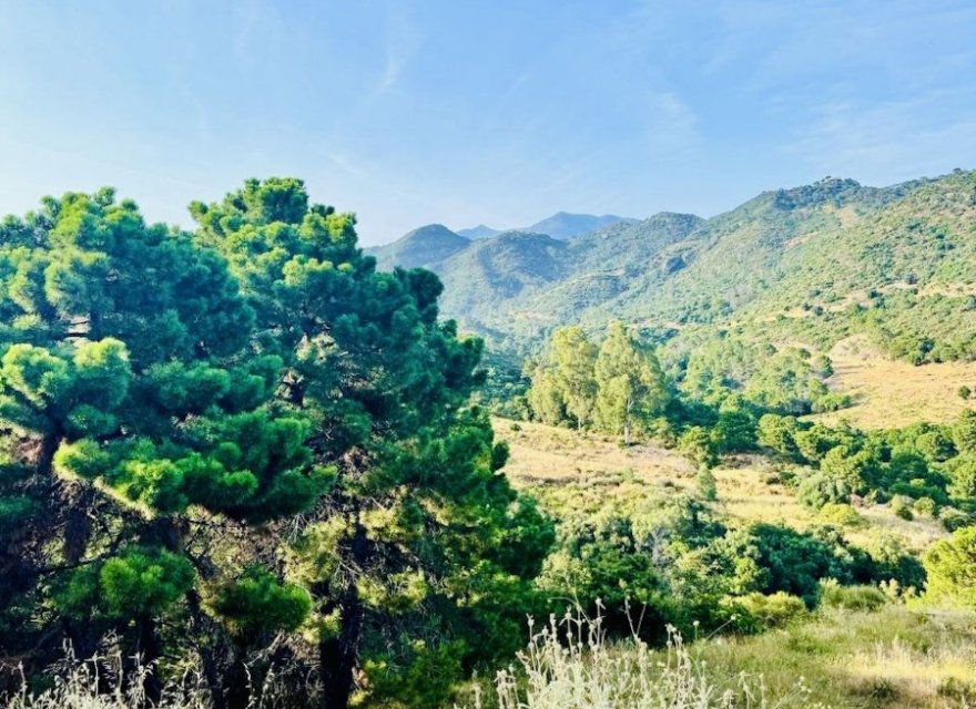 Reventa - Parcela - Benahavís - Costa del Sol