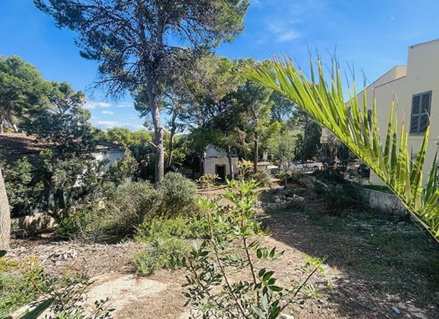 Reventa - Parcela - El Toro