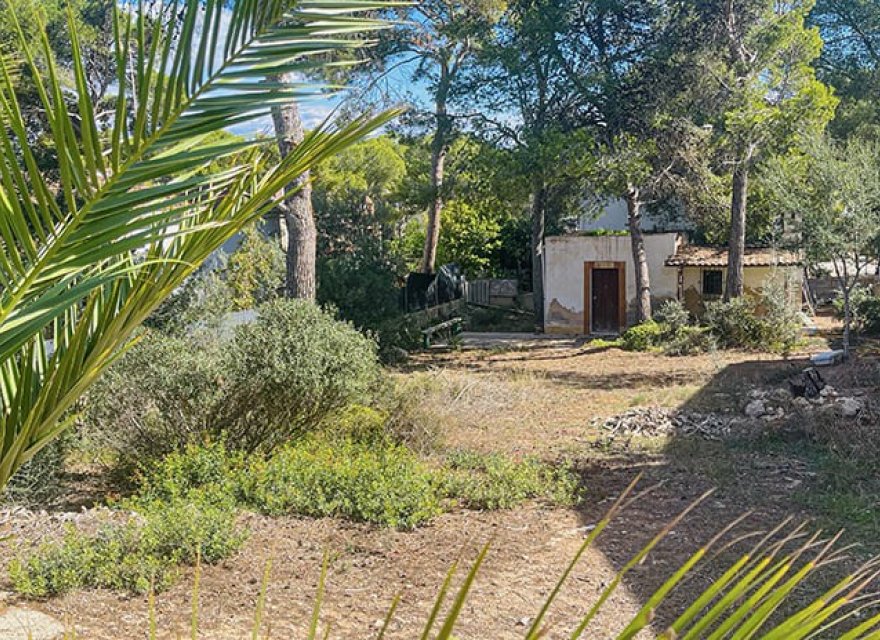 Reventa - Parcela - El Toro