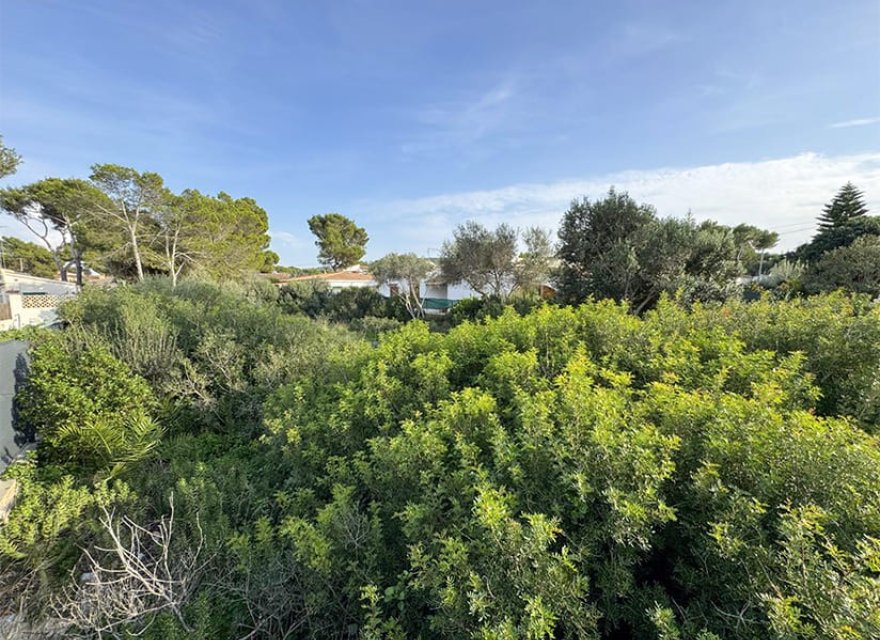 Reventa - Parcela - El Toro