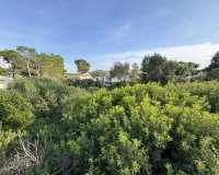 Reventa - Parcela - El Toro