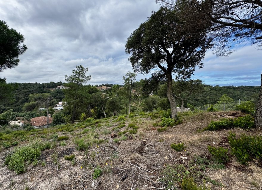 Reventa - Parcela - Lloret de Mar