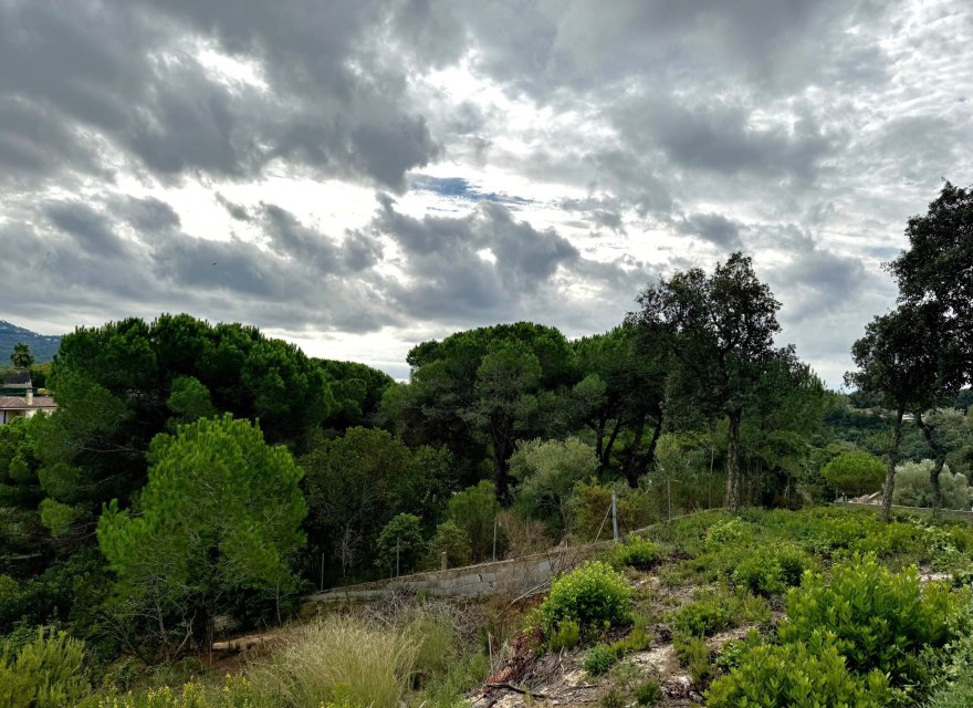 Reventa - Parcela - Lloret de Mar