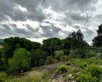 Reventa - Parcela - Lloret de Mar