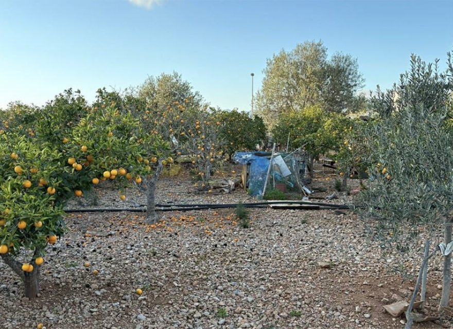 Reventa - Parcela - Palma de Mallorca - Marratxi