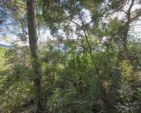 Reventa - Parcela - Puerto d’Andratx