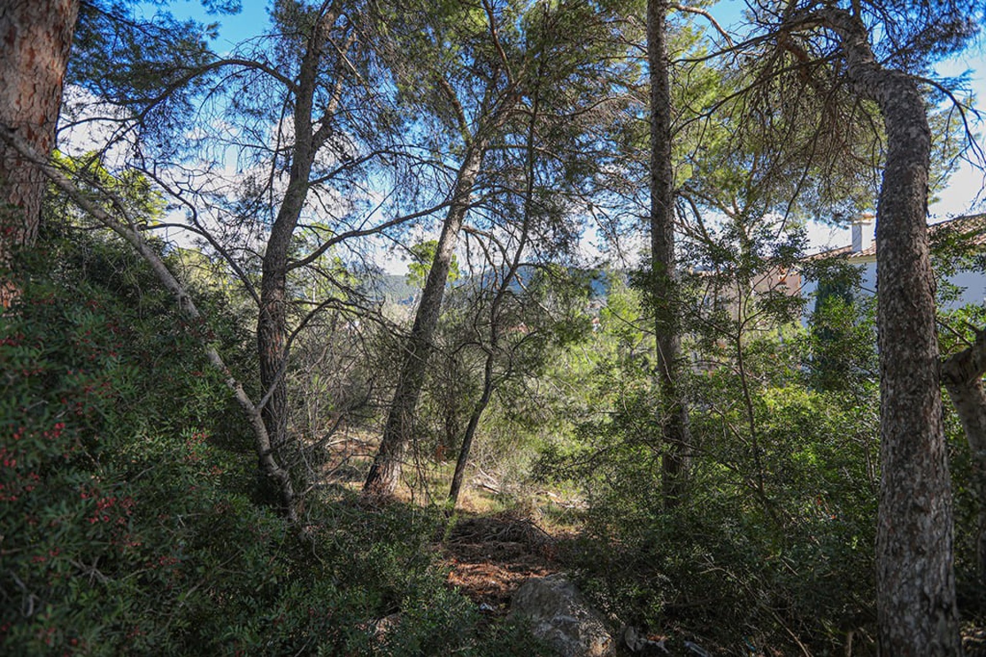 Reventa - Parcela - Puerto d’Andratx