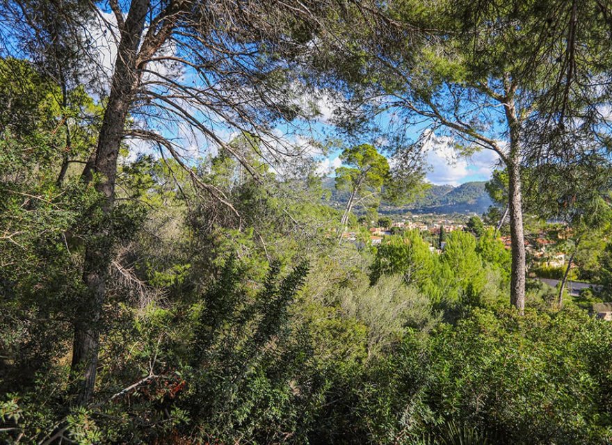 Reventa - Parcela - Puerto d’Andratx