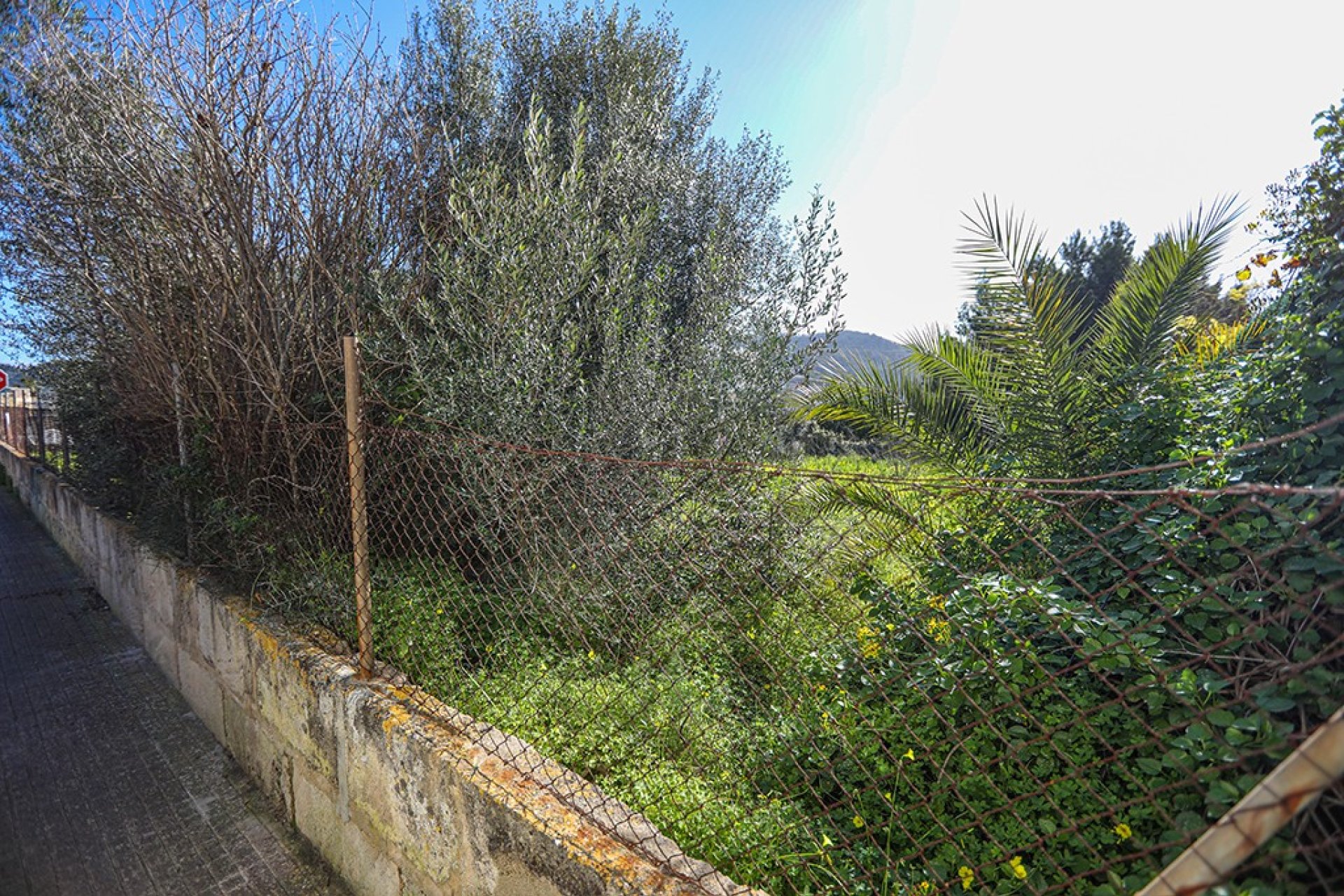 Reventa - Parcela - Puerto d’Andratx