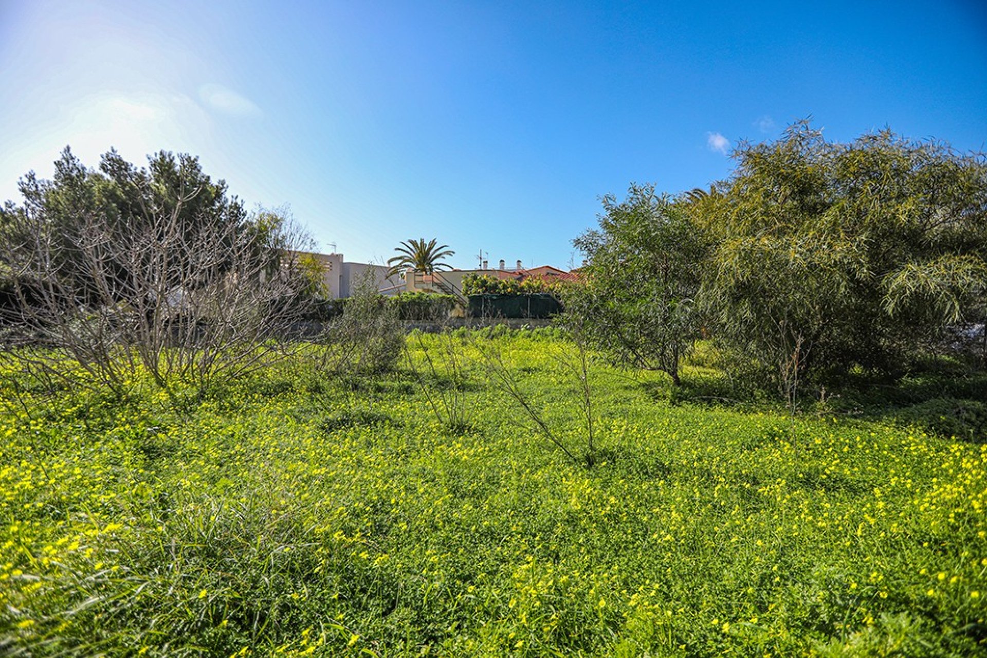 Reventa - Parcela - Puerto d’Andratx