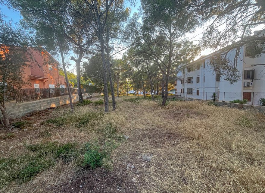 Reventa - Parcela - Santa Ponsa