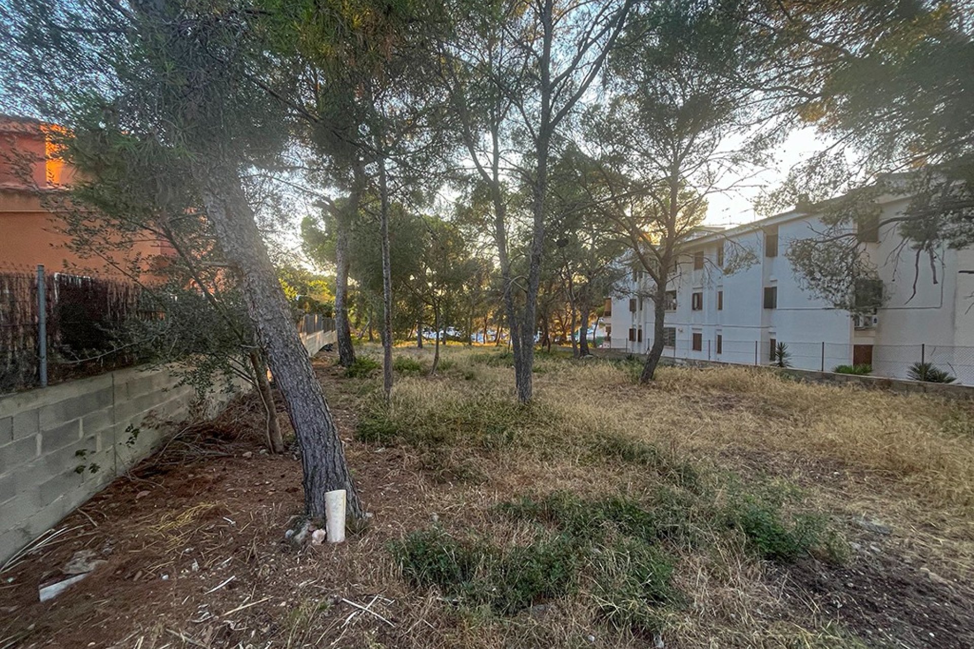 Reventa - Parcela - Santa Ponsa