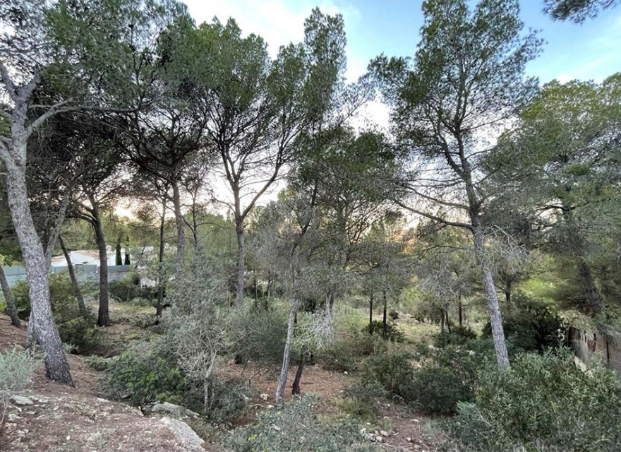 Reventa - Parcela - Santa Ponsa