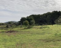 Reventa - Parcela - Santanyí