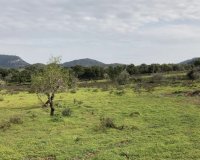 Reventa - Parcela - Santanyí