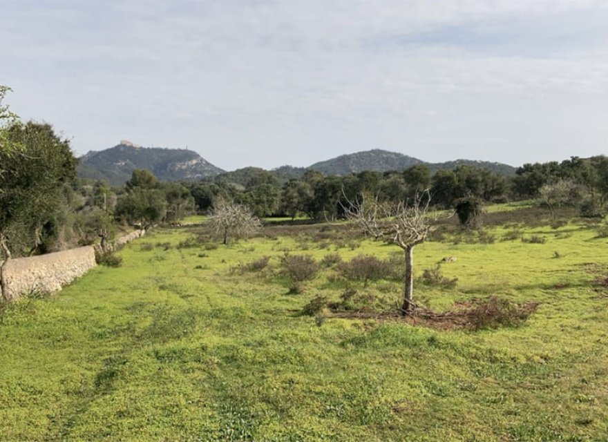 Reventa - Parcela - Santanyí