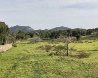 Reventa - Parcela - Santanyí