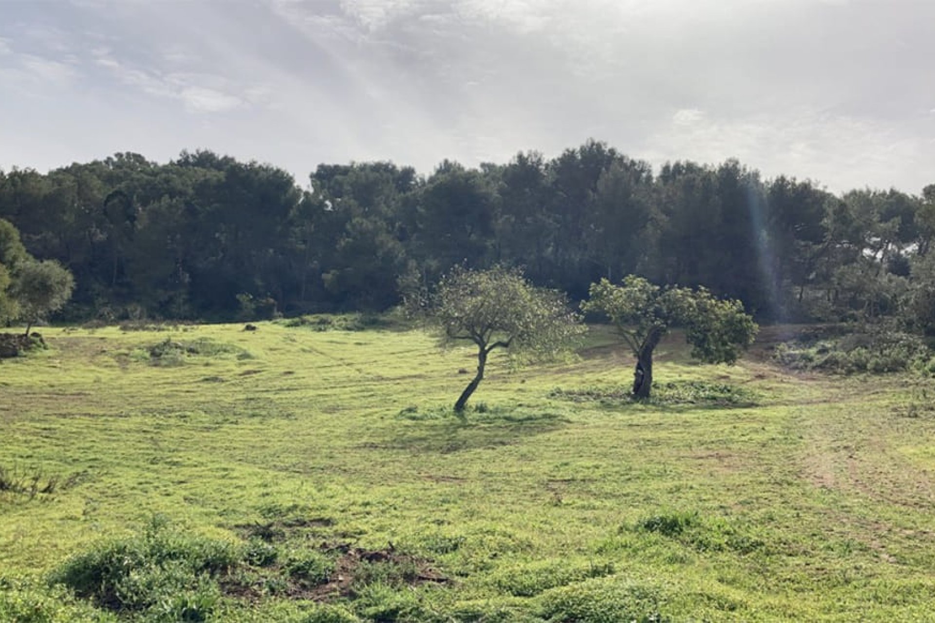 Reventa - Parcela - Santanyí