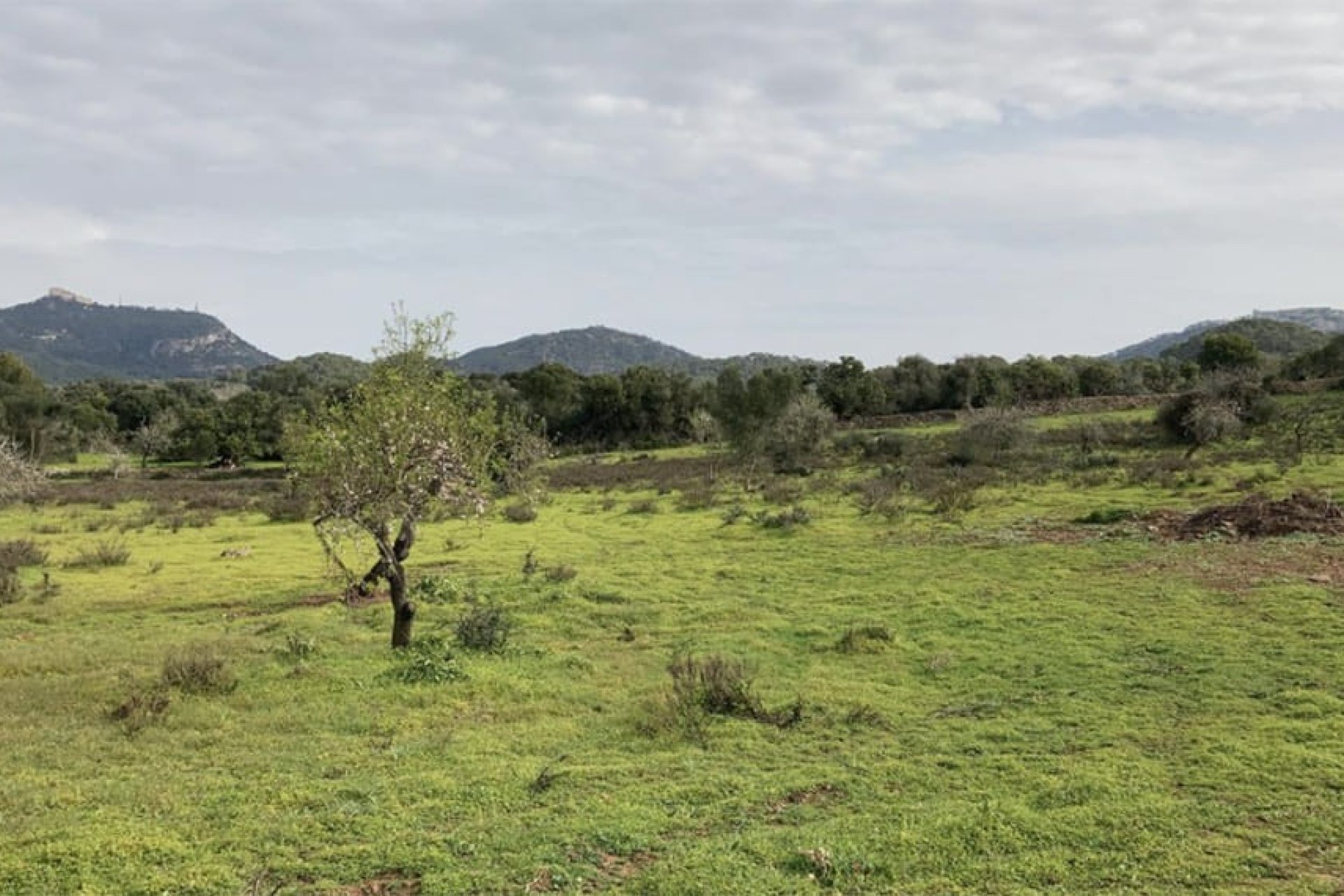 Reventa - Parcela - Santanyí