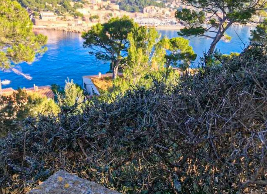 Reventa - Parcela - Sóller