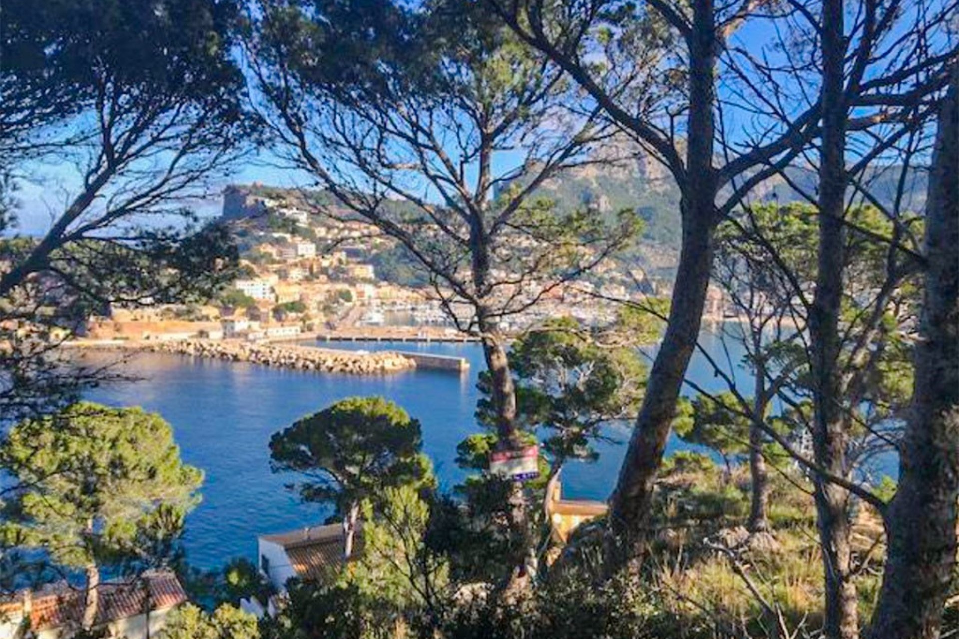 Reventa - Parcela - Sóller