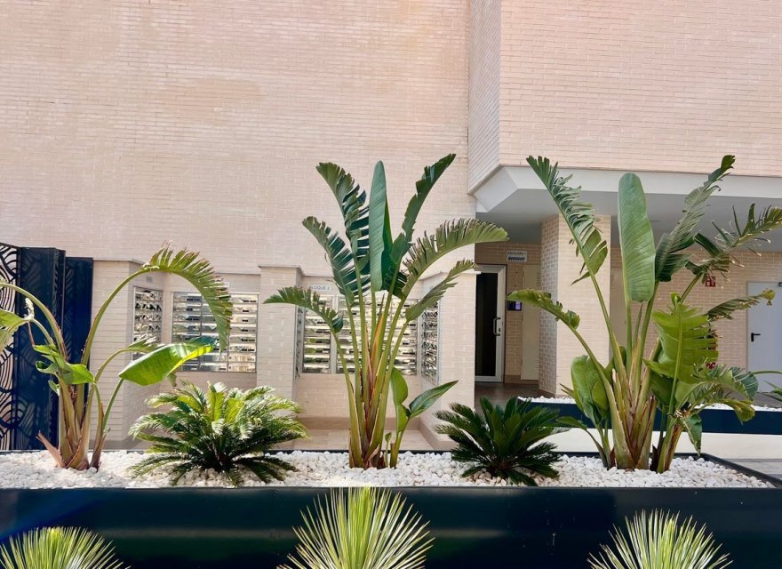 Reventa - Villa - Alicante - San Juan de Alicante