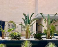 Reventa - Villa - Alicante - San Juan de Alicante