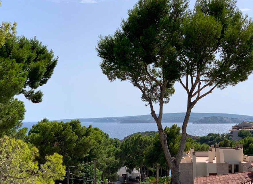 Reventa - Villa - Bendinat