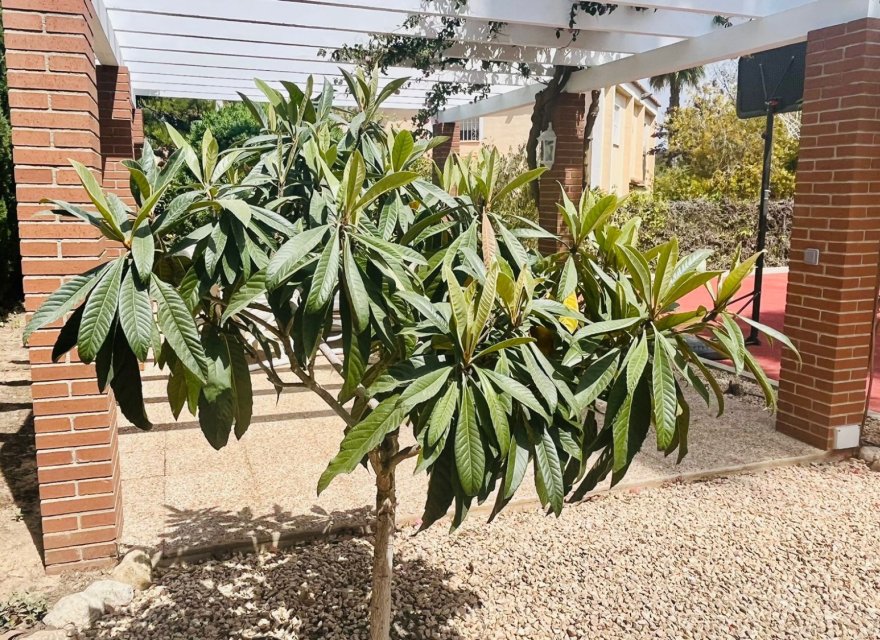 Reventa - Villa - Benidorm