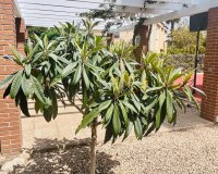 Reventa - Villa - Benidorm