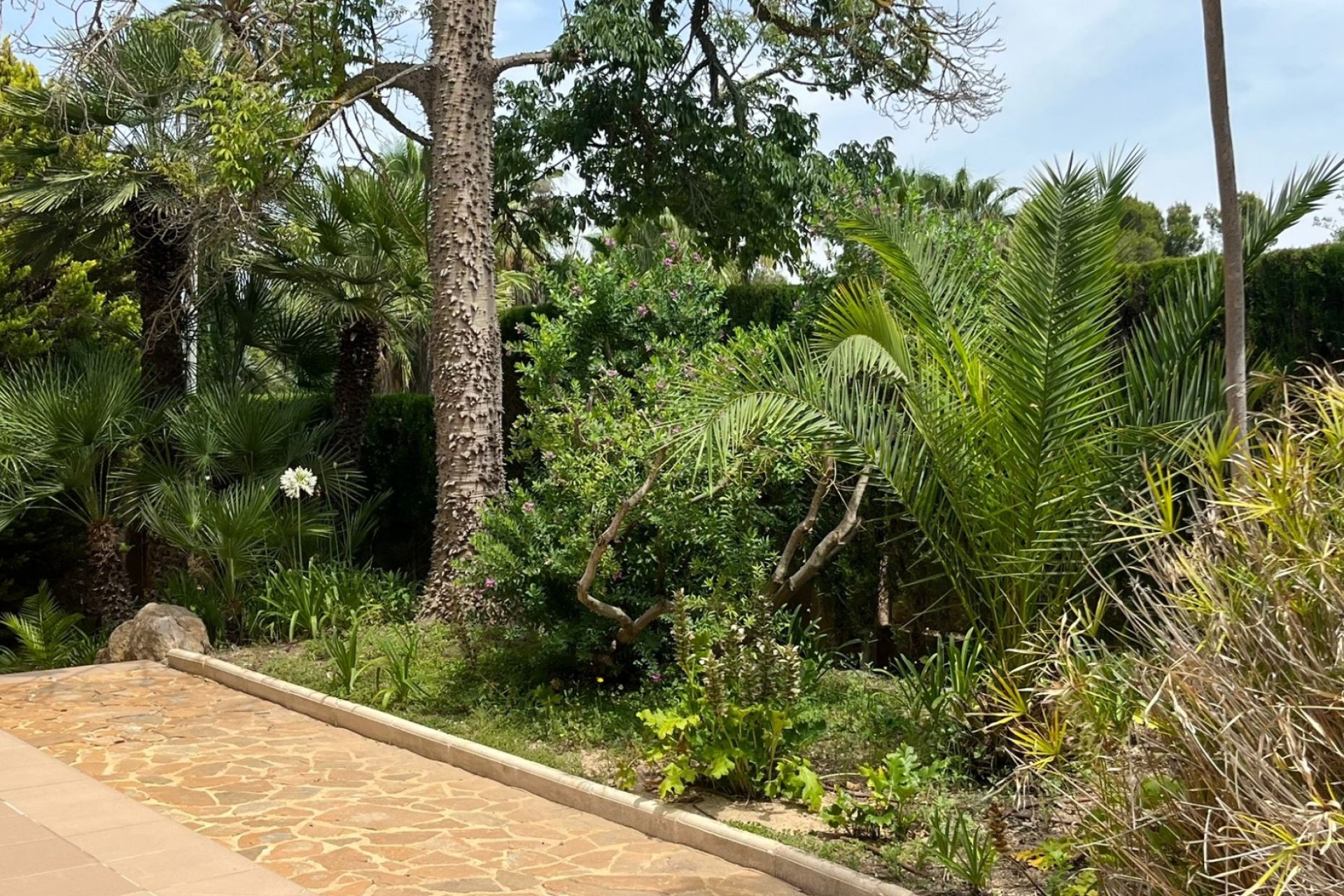 Reventa - Villa - Benidorm