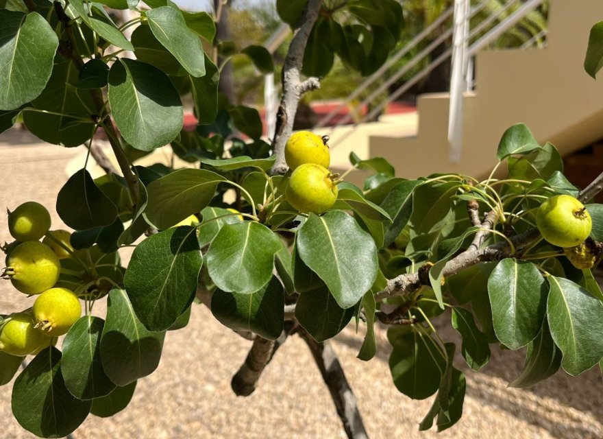 Reventa - Villa - Benidorm