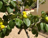 Reventa - Villa - Benidorm