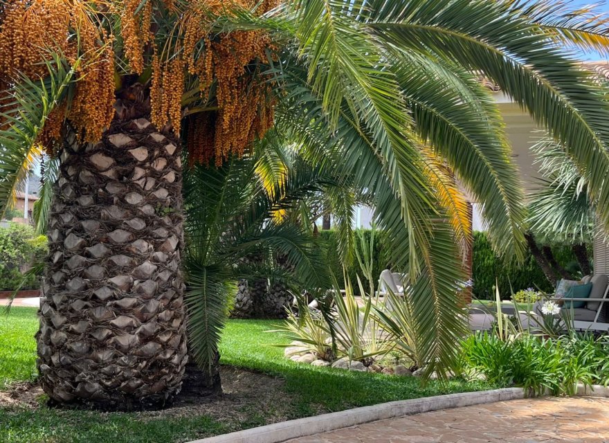 Reventa - Villa - Benidorm