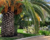 Reventa - Villa - Benidorm