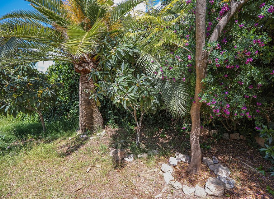 Reventa - Villa - Costa d’en Blanes